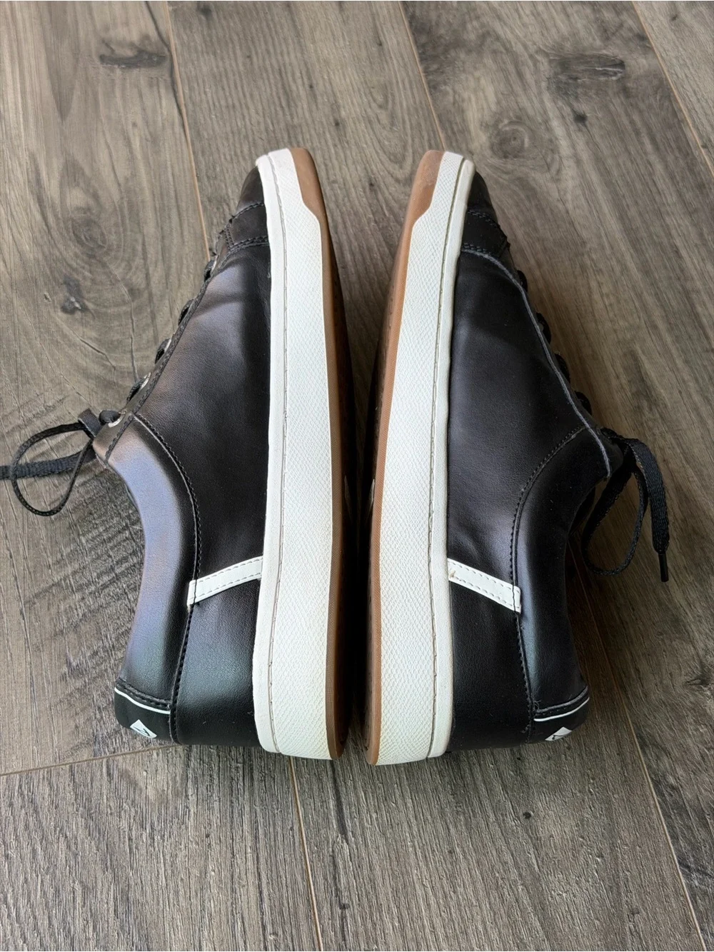 Modern Sperry Topsider Charter Lace Up Memory Foam Sneaker-9.